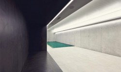 Duisac turpiteger rutr